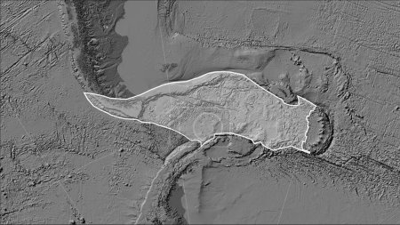 Téléchargez les photos : Forme de la plaque tectonique Scotia sur la carte d'élévation bilevel dans la projection cylindrique (oblique) Patterson - en image libre de droit