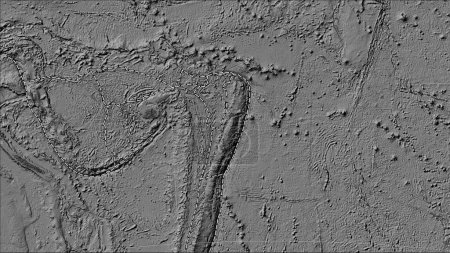 Téléchargez les photos : Plaque tectonique Tonga et limites des plaques adjacentes sur la carte de l'élévation bilevel dans la projection cylindrique (oblique) Patterson - en image libre de droit