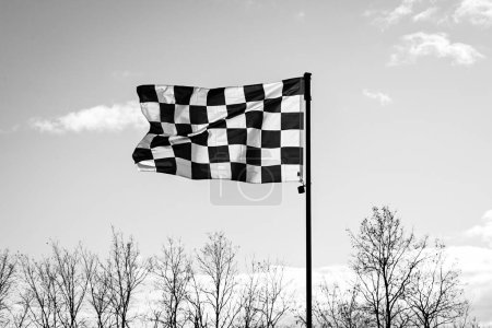Chequered Flagge auf einem Himmelshintergrund über den Baumwipfeln in schwarz-weiß