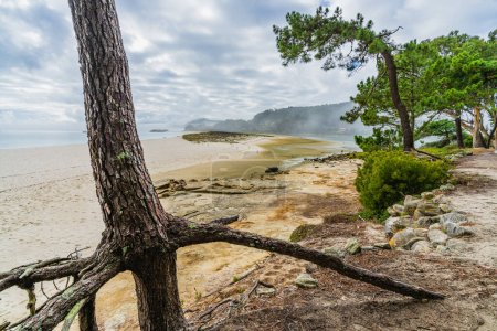 Foto de Hermosa playa de Rodas, en las Islas Cies en Galicia, España. Foto de alta calidad - Imagen libre de derechos