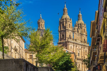 View of the Torres de la Clerecia in the city of Salamanca, in Spain. High quality photo