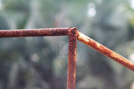 Téléchargez les photos : Clôture en fer rouillé dans le jardin avec fond flou et espace de copie - en image libre de droit