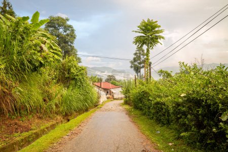 Téléchargez les photos : Cette photo de paysage a été prise, en Asie, au Vietnam, au Tonkin, à Bac Ha, vers Lao Cai, en été. On voit une route dégradée par la mousson au milieu des montagnes et des forêts vertes, sous le soleil. - en image libre de droit
