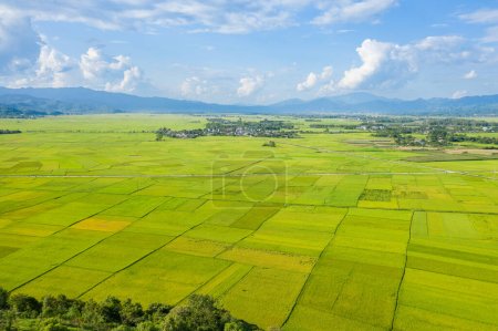 Téléchargez les photos : Cette photo de paysage a été prise, en Asie, au Vietnam, au Tonkin, à Dien Bien Phu, en été. Nous voyons les villages traditionnels au milieu des rizières vertes et jaunes dans la vallée, sous le soleil. - en image libre de droit