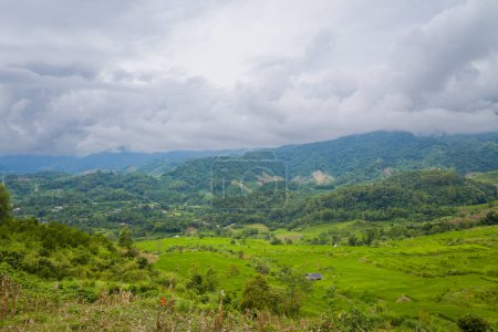To zdjęcie krajobrazowe zostało zrobione latem w Azji, Wietnamie, Tonkinie, Dien Bien Phu. Widzimy zielone pola ryżowe w zielonych górach, pod chmurami.