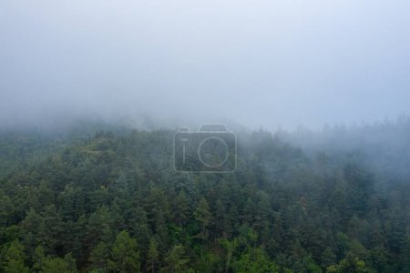 Téléchargez les photos : Cette photo de paysage a été prise en Europe, en France, dans les Pyrénées, en été. Nous voyons la campagne verte sous les nuages, sous le soleil. - en image libre de droit