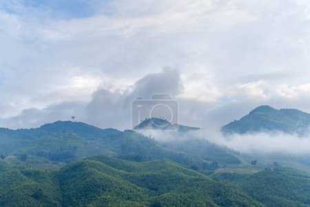 Téléchargez les photos : Cette photo de paysage a été prise, en Asie, au Vietnam, au Tonkin, à Sapa, vers Lao Cai, en été. Nous voyons les montagnes vertes, sous les nuages. - en image libre de droit