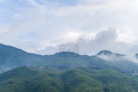 Téléchargez les photos : Cette photo de paysage a été prise, en Asie, au Vietnam, au Tonkin, à Sapa, vers Lao Cai, en été. Nous voyons les montagnes vertes, sous les nuages. - en image libre de droit