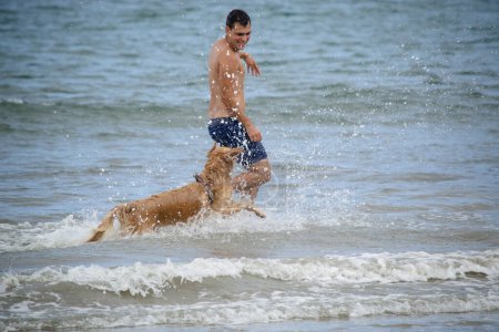 Foto de En la playa golden retriever es una raza de perro tipo retriever que se originó en Gran Bretaña, y fue desarrollado para la caza de aves acuáticas. - Imagen libre de derechos
