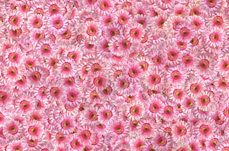 Photo for Pink flowers background for a wedding or birthday party - Royalty Free Image