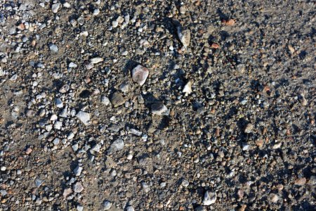 Natur, Mineralien, Granit, graue Steine und Krümel, rote kleine Ziegel, die über die sandige Oberfläche der Erde verstreut sind.
