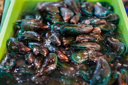 Frische rohe Muschelmuscheln zum Verkauf auf dem Fischmarkt oder thailändisches Streetfood für gedämpfte, blanchierte Muschelmuscheln