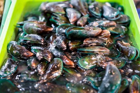 Fresh raw sea mussels clams display for sale at seafood market or Thai street food use for cook steamed blanched mussels clams
