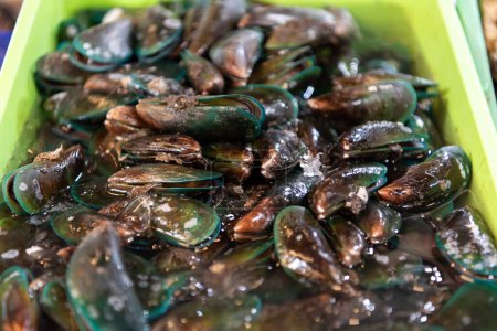 Exposición de almejas frescas de mejillones de mar crudos para la venta en el mercado de mariscos o el uso de alimentos callejeros tailandeses para cocinar almejas blanqueadas al vapor