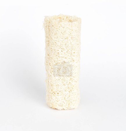Photo for An image vertical isolated close-up one luffa for scrub or shower spa for clean skin background on the white background. - Royalty Free Image