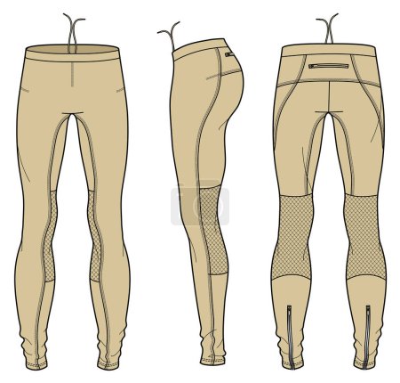 Illustration for Technical sketch of tight in front, back and side views. - Royalty Free Image