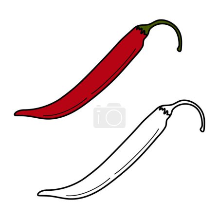 Illustration for Vector set of 2 chili pepper image hand drawn outline and color drawing. Mexican food. Cinco de Mayo. Sticker. Icon. Isolate. Design for poster, banner, brochure or card, price, label, wallpaper, web - Royalty Free Image
