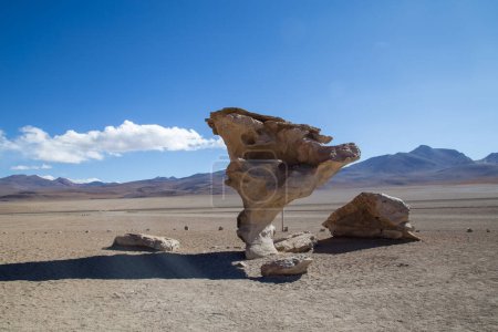Téléchargez les photos : Formation de pierre célèbre Arbol de Piedra en altiplano bolivien - en image libre de droit