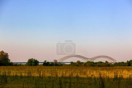 Téléchargez les photos : Le pont Hernando de Soto à West Memphis, Arkansas traversant le fleuve Mississippi jusqu'à Memphis Tennessee. Avec et champ ouvert de fleurs jaunes, ciel bleu et arbres. - en image libre de droit