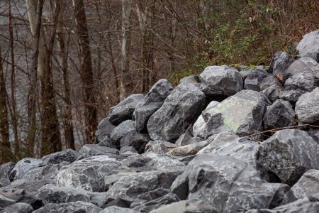 Foto de roca gris con hojas dispersas alrededor.