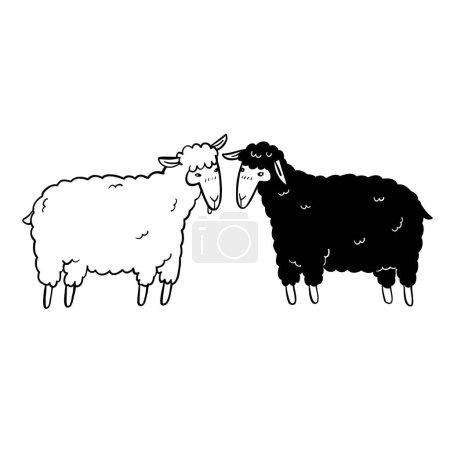 Illustration for The sheep black and white , Hand drawn vector illustration - Royalty Free Image
