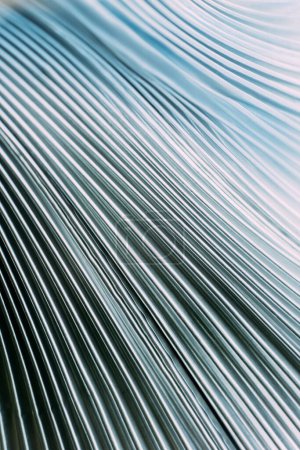 Photo for Ribbed texture. Futuristic background. Embossed aluminum. Blue silver white color gradient holographic glow on ridged metal structure abstract illustration wallpaper. 3d render - Royalty Free Image