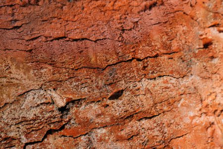 Foto de Stony background. Ragged texture. Macro shooting. Rough red brown wall with cracks and rusty cement effect. - Imagen libre de derechos