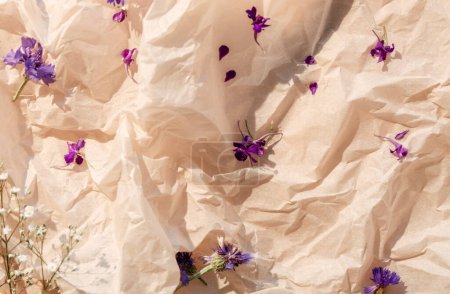 Téléchargez les photos : Floral composition. Herbal background. Nature decoration. Purple white dried plant flowers buds on beige wrinkled crumpled paper texture. - en image libre de droit
