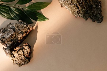 Foto de Plant background. Nature composition. Product placement. Cracked brown wood bark pieces green leaves decoration on beige copy space. - Imagen libre de derechos