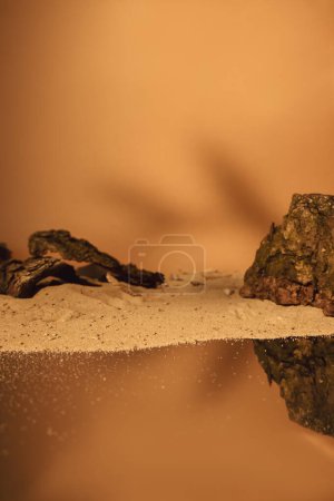Photo for Sand background. Island composition. Nature display. Brown dry tree wood bark mountain rock abstract arrangement on orange empty space. - Royalty Free Image