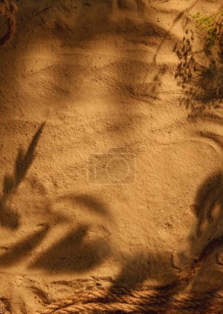 Téléchargez les photos : Texture sable. Composition du désert. Placement de produit. Pile de corde brune plante florale laisse ombre sur fond abstrait beige ensoleillé avec espace de copie. - en image libre de droit