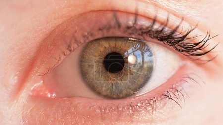 Photo for Open eye. Vision correction. Ophthalmology diagnostic. Closeup woman face with green brown iris pupil looking straight. - Royalty Free Image