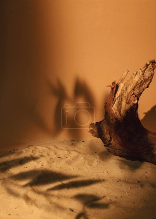 Foto de Fondo de arena. Composición natural. Exhibición del producto. Sombra de follaje de corteza de árbol seco marrón en escaparate naranja con espacio de copia. - Imagen libre de derechos