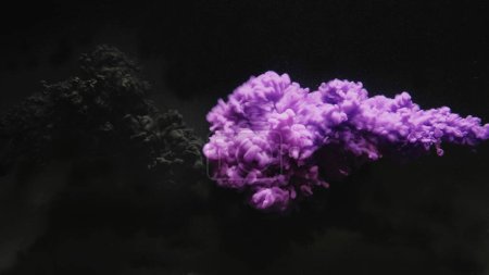 Photo for Ink water shot. Fume cloud. Underwater dye blast. Purple black color paint drop glitter dust particles texture on dark abstract art background. - Royalty Free Image