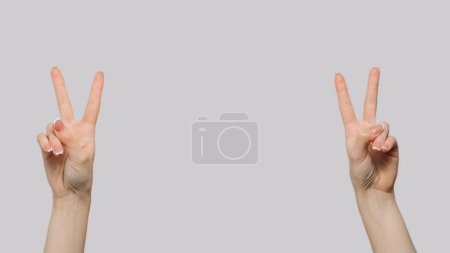 Téléchargez les photos : Signe de victoire. Un geste de paix. Mains féminines montrant des symboles v démontrant gagner avec les doigts isolés sur fond d'espace de copie gris. - en image libre de droit