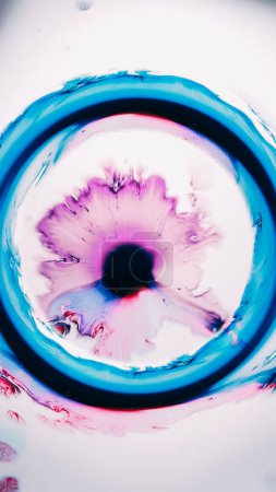 Photo for Ink circle. Paint vortex. Purple pink fluid spreading in blue round frame on light background watercolor spatters abstract illustration. - Royalty Free Image