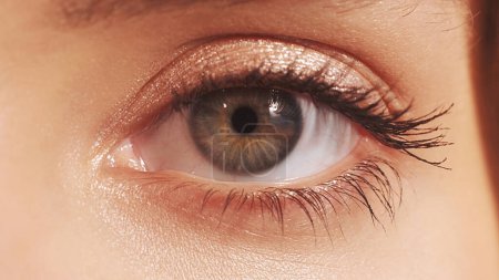 Foto de Salud ocular. Cuidado visual. Oftalmología de la vista. Macro de mujer rubia gris iris marrón pupila brillante pestañas en la piel de la cara radiante. - Imagen libre de derechos
