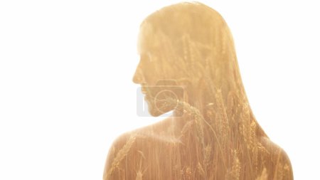Foto de Retrato de arte. Conexión con la naturaleza. Perfil de doble exposición de cara de mujer pacífica con ojos cerrados campo de trigo espiguillas amarillas aisladas sobre fondo blanco espacio vacío. - Imagen libre de derechos