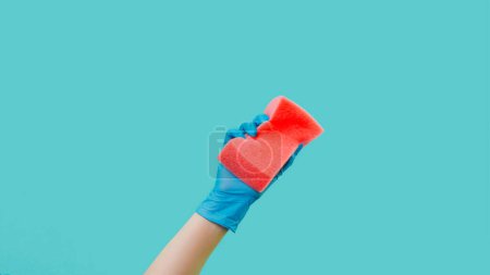 Photo for Surface cleaning. Housework tool. Janitor hand in professional latex gloves squeezing pink home dust removing sponge isolated on green background empty space. - Royalty Free Image