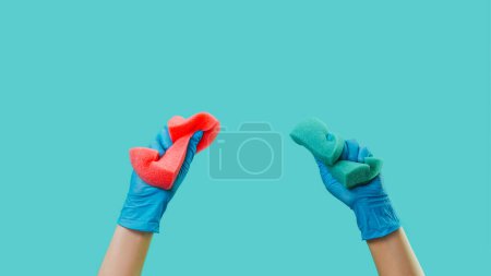 Higiene del hogar. Publicidad de limpieza. Inicio lavado esponjas herramientas en manos de conserje en guantes de goma aislados sobre fondo verde espacio vacío.