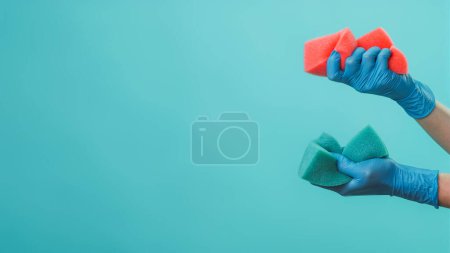 Photo for Cleaning tools. Home chores. Janitor hands in protective gloves crumpling two soft blue pink sponges isolated on green background empty space. - Royalty Free Image