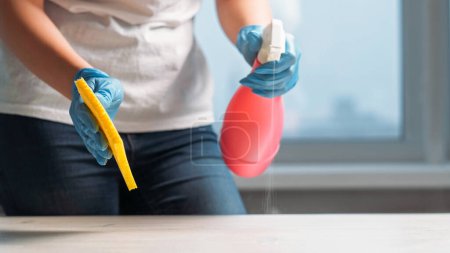 Photo for Furniture cleaning. Detergent product. Careful room hygiene. Woman janitor hands in protective gloves with spray bottle washing table surface with sponge wiper light home interior. - Royalty Free Image