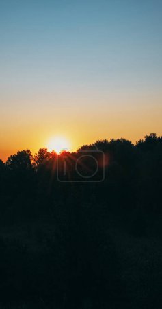 Photo for Forest sunset background. Countryside landscape. Nature park horizon. Summer dark woods trees foliage scenery on blue sky beams with lens flare. - Royalty Free Image