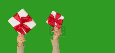 Photo for Showing gift. Festive surprise. Unrecognizable woman hands holding wrapped boxes offering presents for holiday isolated on empty space green background. - Royalty Free Image