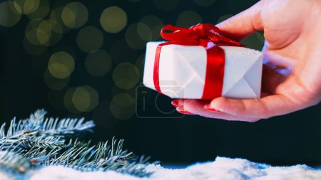 Foto de Un regalo de Navidad. Diseño de regalo. Felicitaciones navideñas. Mujer mano poniendo caja de felicitación cinta roja grabada en la decoración del abeto nevado brillante verde difuminación luces fondo. - Imagen libre de derechos