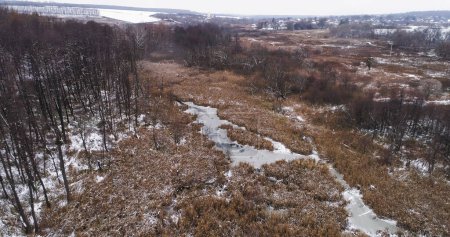 Foto de Pantano congelado. Parque aéreo de invierno. Drone vista de pantano congelado con hierba marrón seca y hielo mate mañana fría en el campo. - Imagen libre de derechos