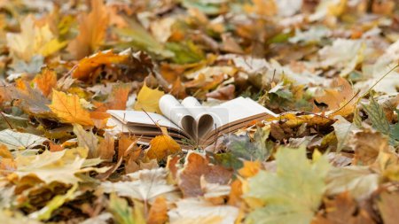 Photo for Inspired literature. Romantic autumn. Creative shooting. Opened book with putting pages like fan laying on forest ground with falling yellow leaves. - Royalty Free Image
