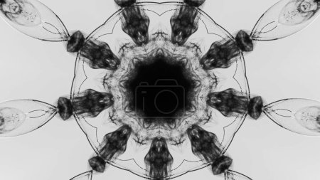 Foto de Caleidoscopio de tinta. Diseño de mandala. Humo negro en flor de vidrio roto ornamento simétrico sobre fondo de ilustración abstracto blanco. - Imagen libre de derechos