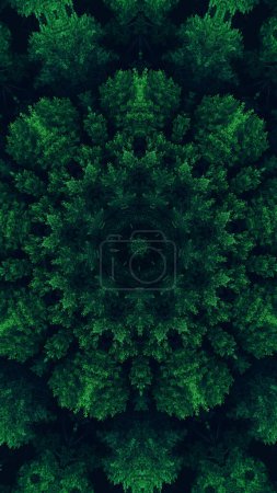 Foto de Caleidoscopio de follaje. Mandala de la naturaleza. Hojas de árbol de bosque de color verde reflejado patrón geométrico redondo sobre fondo de ilustración abstracto negro oscuro. - Imagen libre de derechos