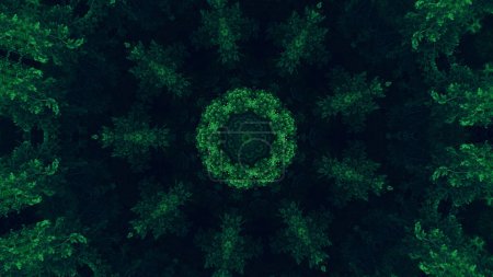 Photo for Forest kaleidoscope. Foliage circle. Green color tree leaves texture round symmetrical decorative ornament on dark black abstract art illustration background. - Royalty Free Image